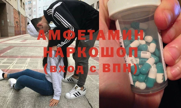 сатива Балахна