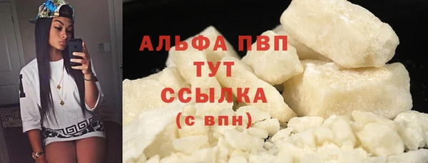 сатива Балахна