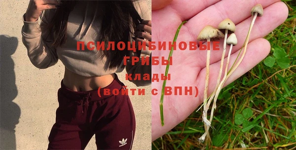 мяу мяу кристалл Арсеньев