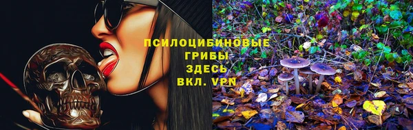 молекула духа Армянск