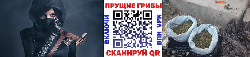 Псилоцибиновые грибы Psilocybe  Лесной 