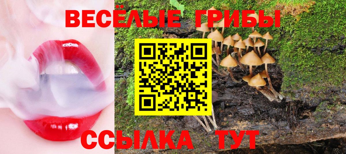 как найти закладки  Галлюциногенные грибы GOLDEN TEACHER  Вход с VPN  Лесной 