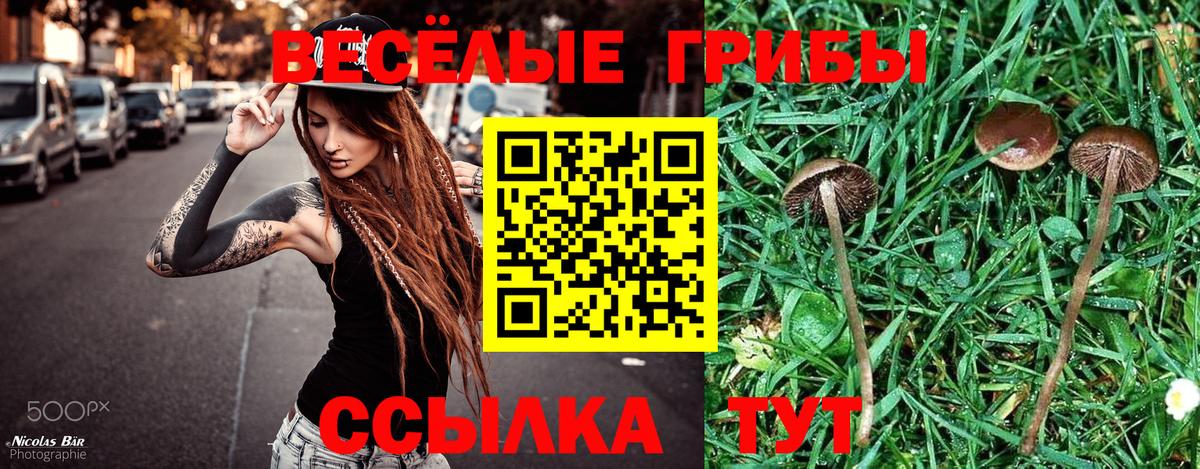 ГАШ  МЕФ  А ПВП СОЛЬ   МАРИХУАНА  COCAIN  Экстази  Лесной  Вход с VPN  Мефедрон кристаллы  Магазин наркотиков 
