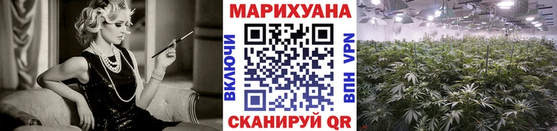 Бошки Шишки индика  купить наркотик  Лесной 